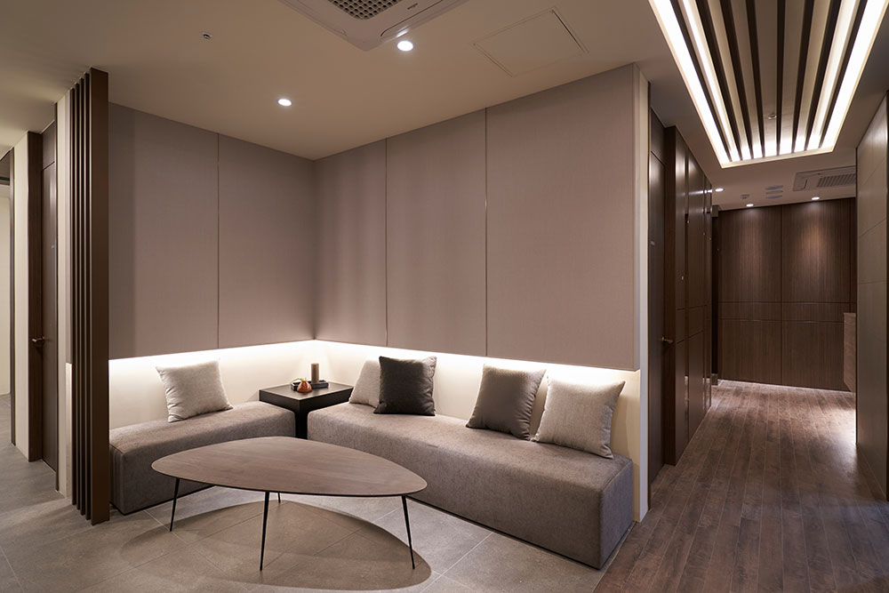 韓國凱丽雅皮膚科是紅標皮膚科嗎?2025紅標認證KMH-2025-0047實錘,延世醫師+正版設備完整解析插图7 首爾江南盤浦地區城市風景,凱丽雅皮膚科所在地